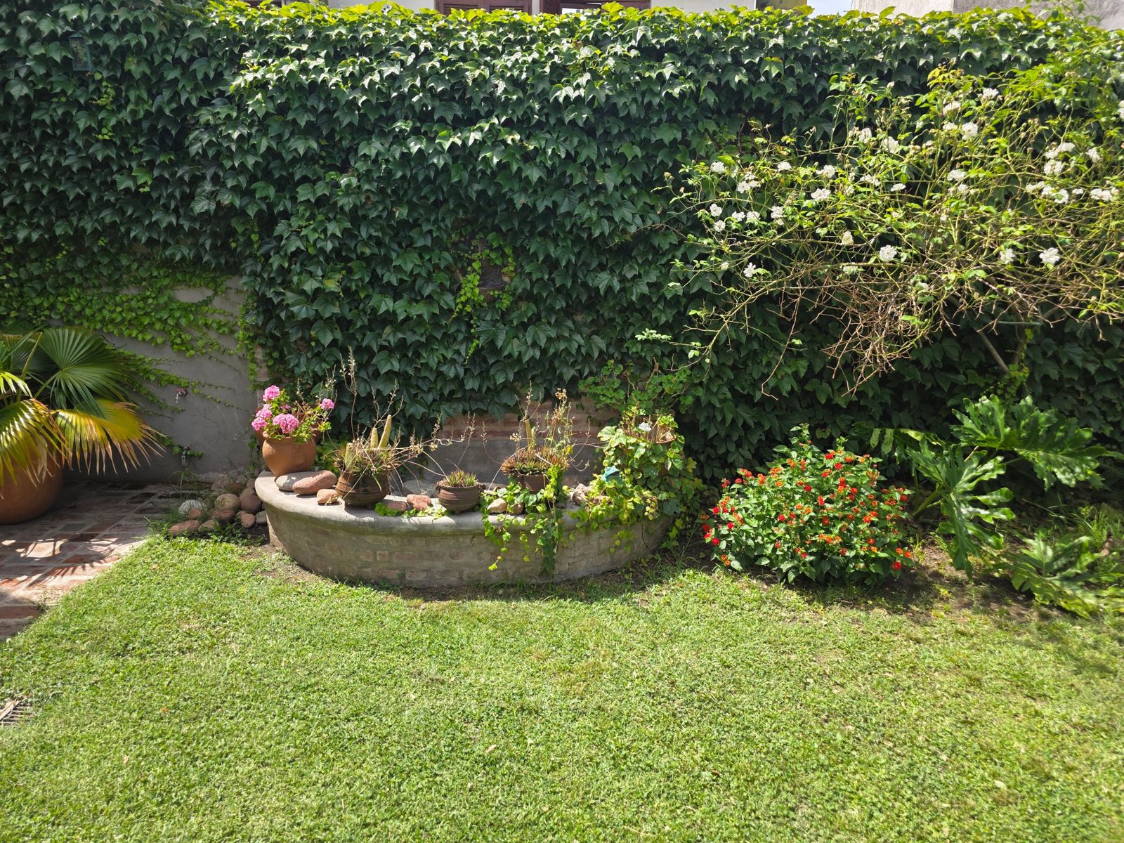 La fuente de ladrillo con macetas, frente a la pared de enredadera